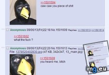 Tags: 4chan, caw, motherfucker (Pict. in My r/4CHAN favs)
