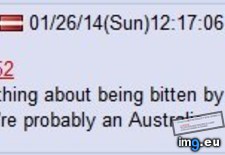 Tags: 4chan, bringing, heat, latvia (Pict. in My r/4CHAN favs)