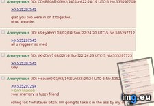 Tags: 4chan, delivers, finally (Pict. in My r/4CHAN favs)