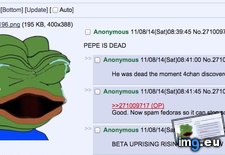 Tags: 4chan, dead, pepe (Pict. in My r/4CHAN favs)