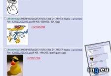 Tags: 4chan, duck, smooth (Pict. in My r/4CHAN favs)