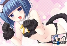 Tags: 1920x1080, animal, anime, blue, chest, ears, eyes, flat, gloves, hair, loli, original, short, tail, thighhighs, underwear (Pict. in Anime Wallpapers 1920x1080 (HD manga))