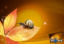 Tags: abstract, snail (Pict. in 1920x1200 wallpapers HD)