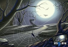 Tags: abstract, spider, web (Pict. in 1920x1200 wallpapers HD)