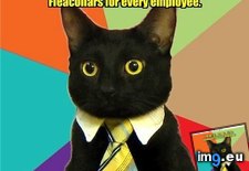 Tags: advice, animal, animals, business, cat, memes, not (Pict. in LOLCats, LOLDogs and cute animals)