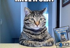Tags: advice, animal, animals, cat, chris, couple, hansen, memes, monog, monogno, thought (Pict. in LOLCats, LOLDogs and cute animals)