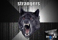 Tags: advice, animal, animals, deal, get, insanity, memes, wolf (Pict. in LOLCats, LOLDogs and cute animals)