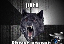 Tags: advice, animal, animals, cup, insanity, memes, see, wolf, you (Pict. in LOLCats, LOLDogs and cute animals)