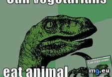 Tags: advice, animal, animals, endangered, memes, philosoraptor, species (Pict. in LOLCats, LOLDogs and cute animals)