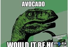 Tags: advice, animal, animals, guacamole, memes, philosoraptor, sin (Pict. in LOLCats, LOLDogs and cute animals)