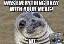 Tags: experienced, moment, waiter (Pict. in My r/ADVICEANIMALS favs)