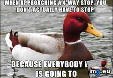 Tags: drivers, for, new, speed, tip, trip (Pict. in My r/ADVICEANIMALS favs)