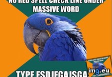 Tags: complex, long, word (Pict. in My r/ADVICEANIMALS favs)