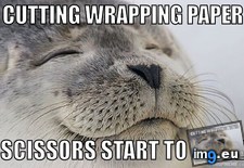 Tags: clean, sound, tearing (Pict. in My r/ADVICEANIMALS favs)