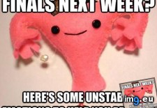 Tags: female, finals, week (Pict. in My r/ADVICEANIMALS favs)