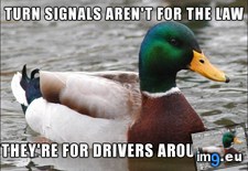 Tags: day, drives, hear, miles, people, too (Pict. in My r/ADVICEANIMALS favs)