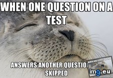 Tags: one, question (Pict. in My r/ADVICEANIMALS favs)