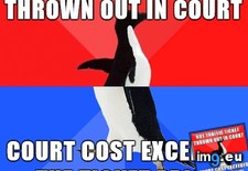 Tags: 500x500 (Pict. in My r/ADVICEANIMALS favs)
