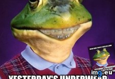 Tags: bachelor, bad, foul, frog, luck (Pict. in My r/ADVICEANIMALS favs)