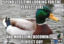 Tags: advice, relationship (Pict. in My r/ADVICEANIMALS favs)