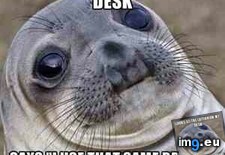 Tags: cable, guy, office, two (Pict. in My r/ADVICEANIMALS favs)