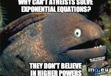 Tags: bad, bring, can, eel, joke (Pict. in My r/ADVICEANIMALS favs)
