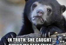 Tags: bear, confession (Pict. in My r/ADVICEANIMALS favs)