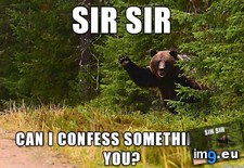 Tags: bear, confession, desperate (Pict. in My r/ADVICEANIMALS favs)