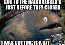 Tags: boyfriend, disapproving, eel, picture, realise, replied, smiley, til (Pict. in My r/ADVICEANIMALS favs)