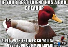 Tags: bad, breakup, duck, friend, green, how, listen, stupid (Pict. in My r/ADVICEANIMALS favs)