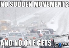 Tags: bank, driving, lot, robbing, snow (Pict. in My r/ADVICEANIMALS favs)