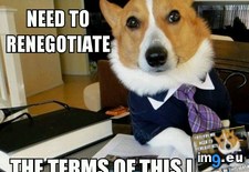 Tags: dog, time, walk (Pict. in My r/ADVICEANIMALS favs)