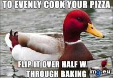 Tags: all, chefs, for, out, pizza, you (Pict. in My r/ADVICEANIMALS favs)