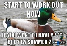 Tags: bullshit, for, lose, new, resolution, wait, weight, year, you (Pict. in My r/ADVICEANIMALS favs)