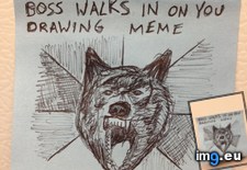 Tags: full, insanity, time, wolf (Pict. in My r/ADVICEANIMALS favs)