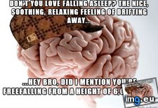 Tags: fell, for, haha, kidding, sleep, you (Pict. in My r/ADVICEANIMALS favs)