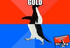 Tags: felt, gold, how, morning, waking (Pict. in My r/ADVICEANIMALS favs)