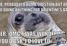 Tags: ask, friend, married (Pict. in My r/ADVICEANIMALS favs)