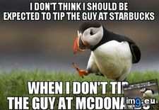 Tags: coffee, held, higher, slinging, standard, understand, why (Pict. in My r/ADVICEANIMALS favs)