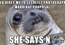 Tags: caught, ended, escape, hiding, idea, nearby, noticing (Pict. in My r/ADVICEANIMALS favs)