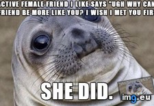 Tags: introduced, one (Pict. in My r/ADVICEANIMALS favs)