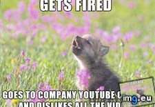 Tags: little, may, overboard, revenge (Pict. in My r/ADVICEANIMALS favs)