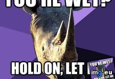 Tags: oblivious, rhino, sexually (Pict. in My r/ADVICEANIMALS favs)