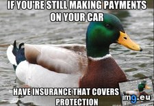 Tags: car, dumb, fucking, learn, longer, mistake, owe, possession (Pict. in My r/ADVICEANIMALS favs)