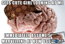 Tags: clear, confidence, indication (Pict. in My r/ADVICEANIMALS favs)