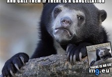 Tags: for, hotel, noticed, one, working, years, yet (Pict. in My r/ADVICEANIMALS favs)