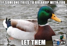 Tags: mistake, nope, was, years (Pict. in My r/ADVICEANIMALS favs)