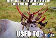 Tags: insanity, reindeer (Pict. in My r/ADVICEANIMALS favs)