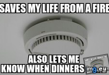 Tags: for, granted, life (Pict. in My r/ADVICEANIMALS favs)
