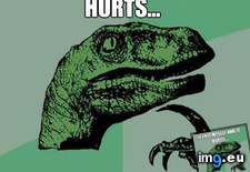Tags: late, night, philosoraptor (Pict. in My r/ADVICEANIMALS favs)